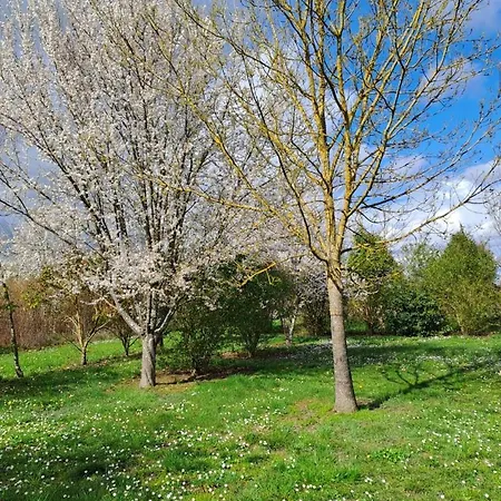 Lot Et Garonne En Campagne Pour 6 Personnes Piscine Et Jardin Ferienhaus